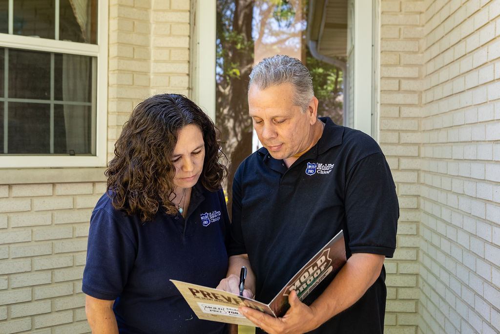 Mold Removal Expert Chicago