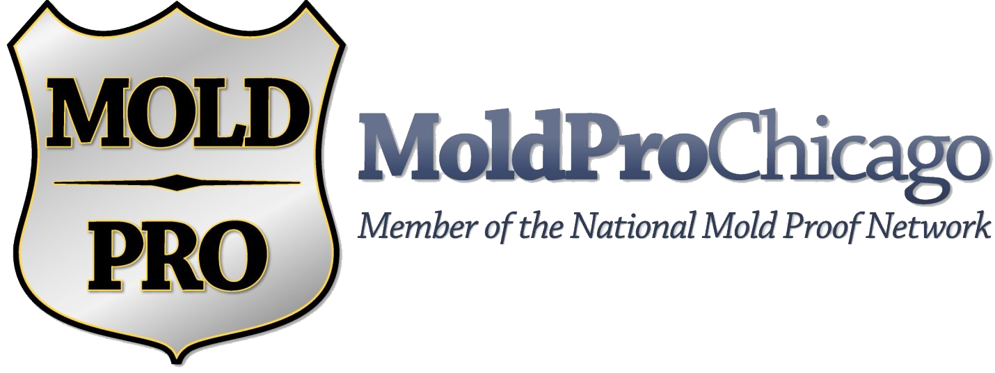 Mold Pro Chicago